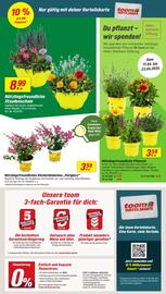 toom Baumarkt Prospekt woche 20 Seite 2