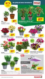 toom Baumarkt Prospekt woche 20 Seite 3