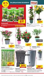 toom Baumarkt Prospekt woche 20 Seite 4