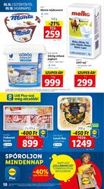 Lidl akciós újság hét 20 Oldal 10