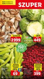 Lidl akciós újság hét 20 Oldal 38