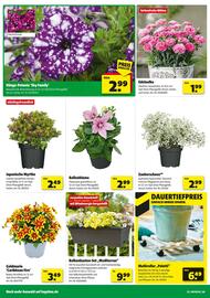 Hagebau Prospekt woche 19 Seite 2