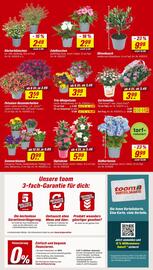 toom Baumarkt Prospekt woche 19 Seite 2
