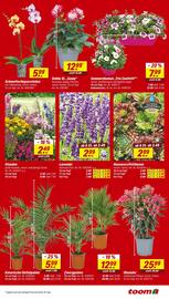 toom Baumarkt Prospekt woche 19 Seite 3