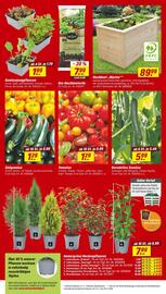 toom Baumarkt Prospekt woche 19 Seite 4