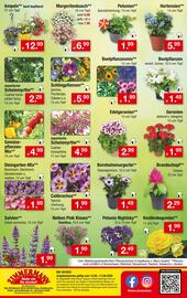 Zimmermann Prospekt woche 20 Seite 10