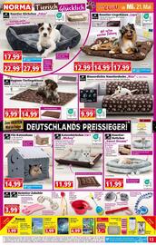 Norma Prospekt woche 21 Seite 13