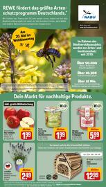REWE Prospekt woche 20 Seite 26