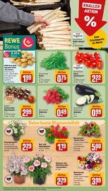 REWE Prospekt woche 20 Seite 7