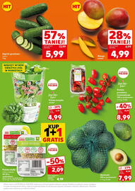 Kaufland gazetka Strona 17
