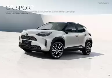 Toyota Flugblatt Seite 33