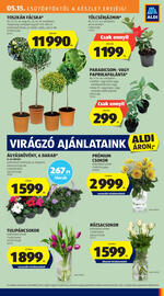 ALDI akciós újság hét 20 Oldal 25