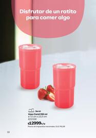 Catálogo Tupperware Página 33
