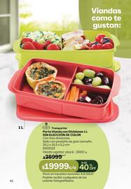 Catálogo Tupperware Página 43