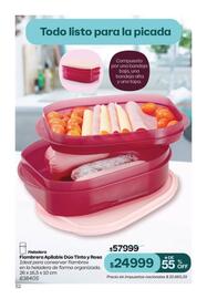 Catálogo Tupperware Página 53
