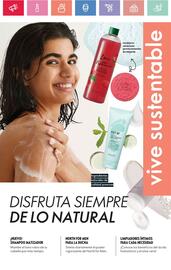 Catálogo Oriflame Página 27