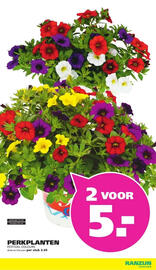 Ranzijn folder Pagina 2