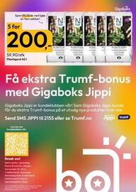 Gigaboks Kundeavis uke 20 Side 8