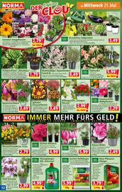 Norma Flugblatt woche 21 Seite 12
