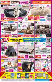 Norma Flugblatt woche 21 Seite 13