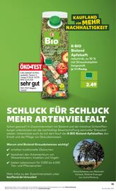 Kaufland DE folder week 20 Pagina 45