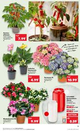 Kaufland DE folder week 20 Pagina 5