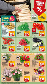 REWE Prospekt woche 20 Seite 7