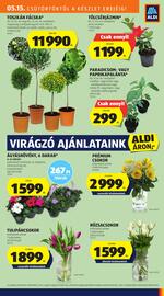 ALDI akciós újság hét 20 Oldal 7