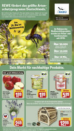 REWE Prospekt woche 20 Seite 24
