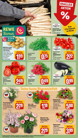 REWE Prospekt woche 20 Seite 7