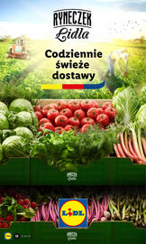 Lidl gazetka Strona 15