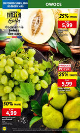 Lidl gazetka Strona 16