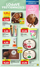 Lidl gazetka Strona 49