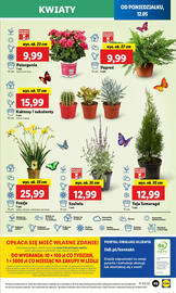 Lidl gazetka Strona 59