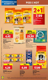 Lidl gazetka Strona 66