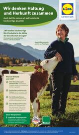 Lidl Prospekt woche 21 Seite 13