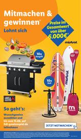 Lidl Prospekt woche 21 Seite 15