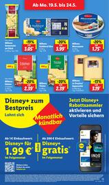 Lidl Prospekt woche 21 Seite 17