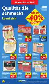 Lidl Prospekt woche 21 Seite 18
