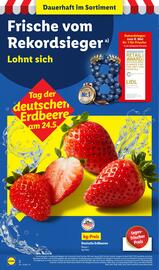 Lidl Prospekt woche 21 Seite 2