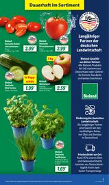 Lidl Prospekt woche 21 Seite 3