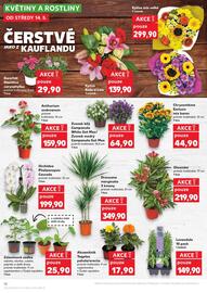 Kaufland leták týden 20 Strana 10