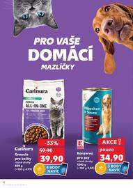Kaufland leták týden 20 Strana 22