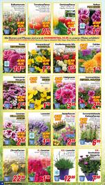 CENTERSHOP Prospekt woche 20 Seite 8