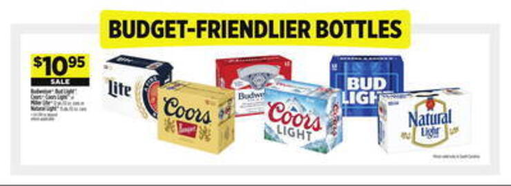 Dollar General Weekly Ad week 20 Page 2