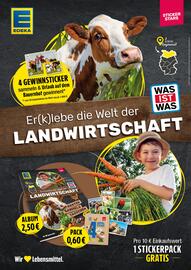 Edeka Frischemarkt Prospekt woche 20 Seite 5