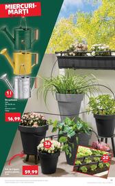Catalog Kaufland săptămâna 20 Pagină 19