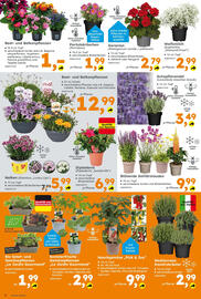 Globus Baumarkt Prospekt Seite 6