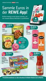 nahkauf Prospekt woche 20 Seite 6