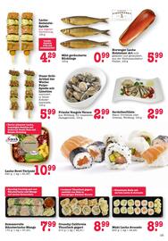 Scheck-in-Center Prospekt woche 20 Seite 13